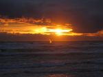Photo albulle/data/photos/Cocornichon/divers/Boucanet 008.jpg