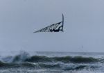 Photo albulle/data/photos/Yoki/divers/Pa5 _8_.jpg