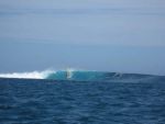 Photo albulle/data/photos/Yoki/divers/Pa51 - Ouano _4_.jpg