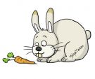Photo albulle/data/photos/TTK/lapin-carotte.jpg