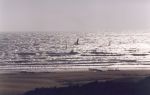 Photo albulle/data/photos/Yoki/divers/maroc 1999 - jump tv.jpg